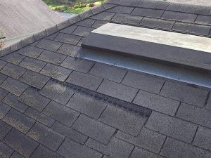 Celtic Roofing project photo