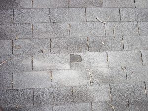 Celtic Roofing project photo