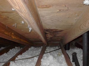 Celtic Roofing project photo